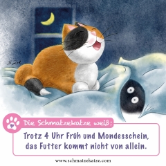 Schmatzekatze will Futter