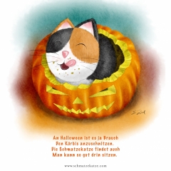 Die Schmatzekatze in ihrem Element