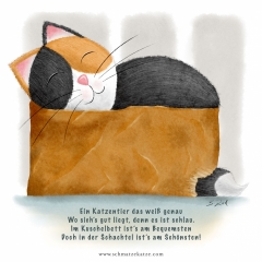 Die Schmatzekatze in ihrer Lieblings-Schachtel