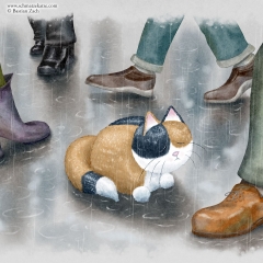 Die Schmatzekatze im Regen