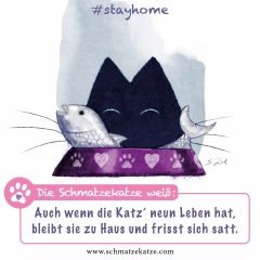 Schmatzekatze #stayhome