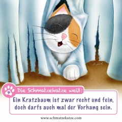 Schmatzekatze und der Vorhang